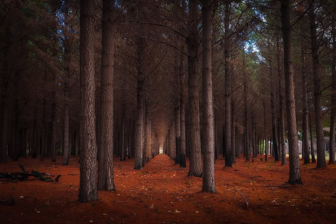 Post 5 by Michael Waterhouse Photography on Instagram (image)