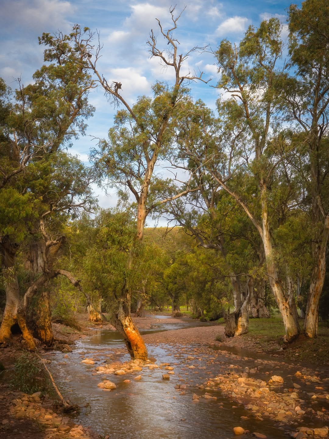Post 2 by Michael Waterhouse Photography on Instagram (image)