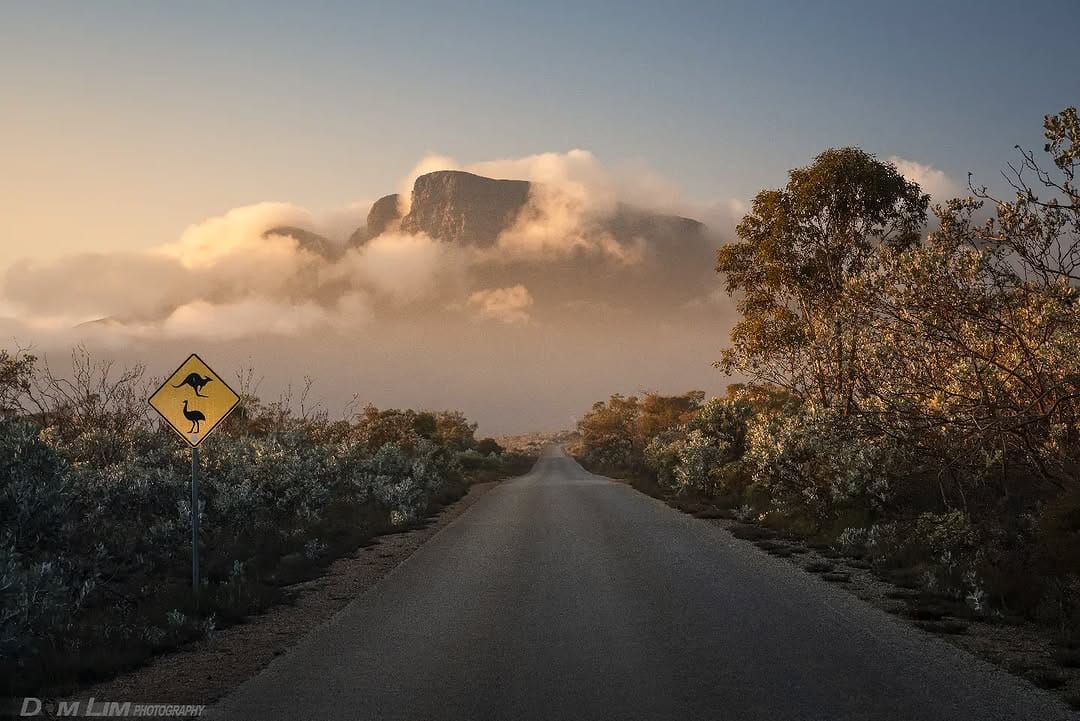 Post 5 by Dom Lim on Instagram (image)