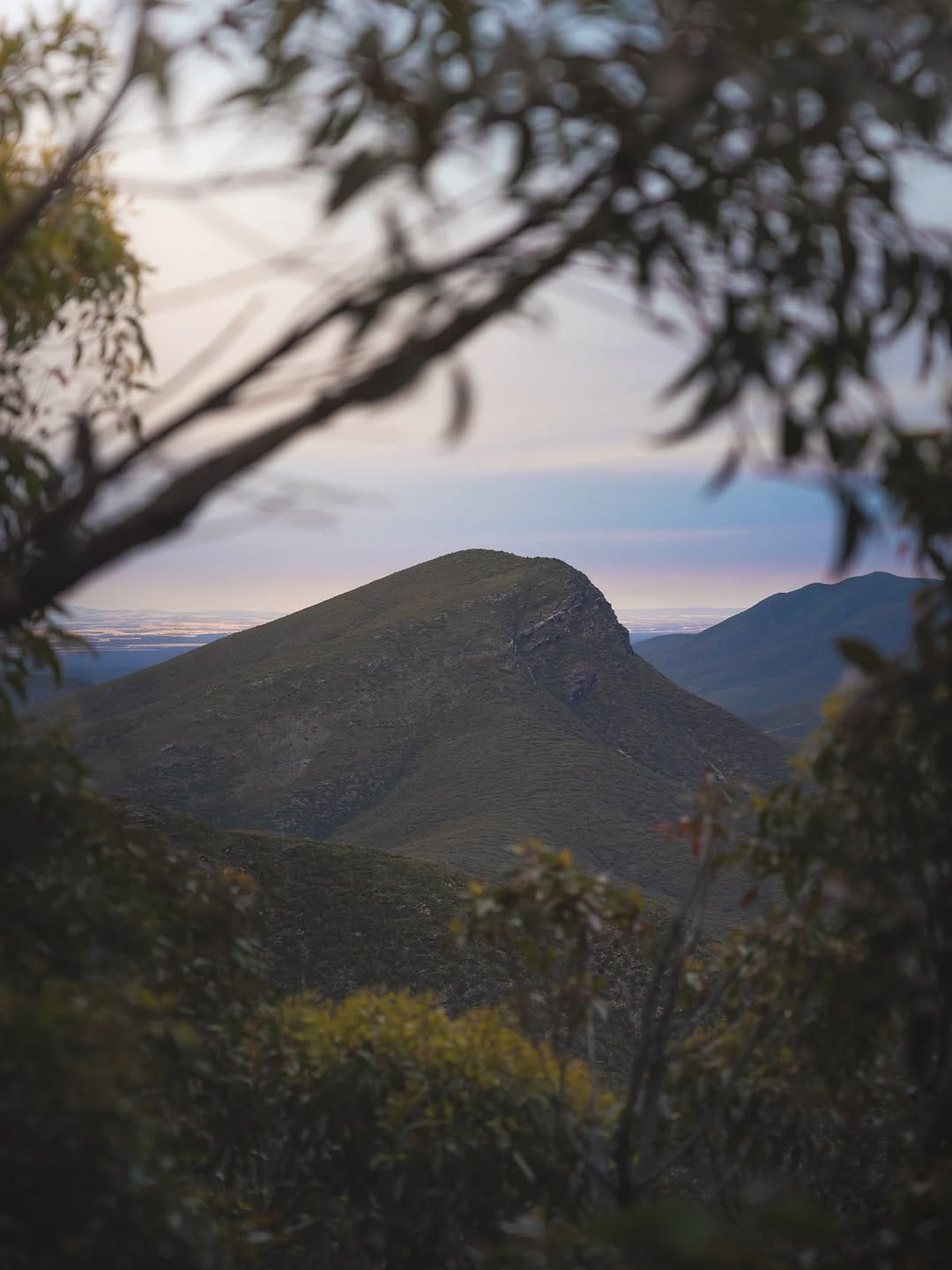 Post 2 by Dom Lim on Instagram (image)