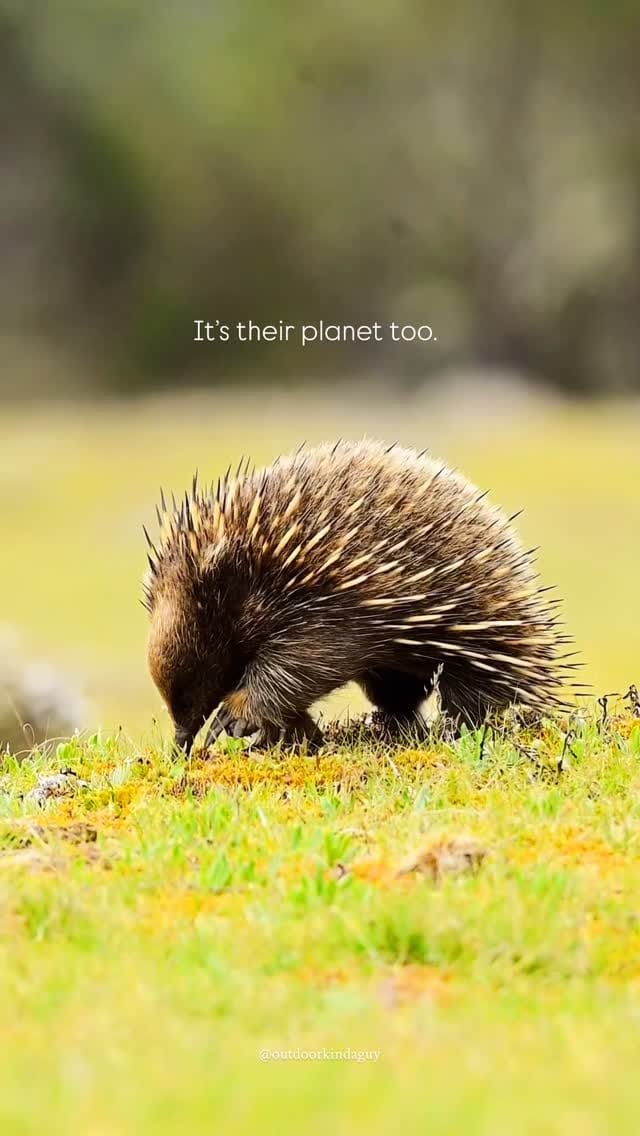 Post 1 by Jordy Wilson on Instagram (video)