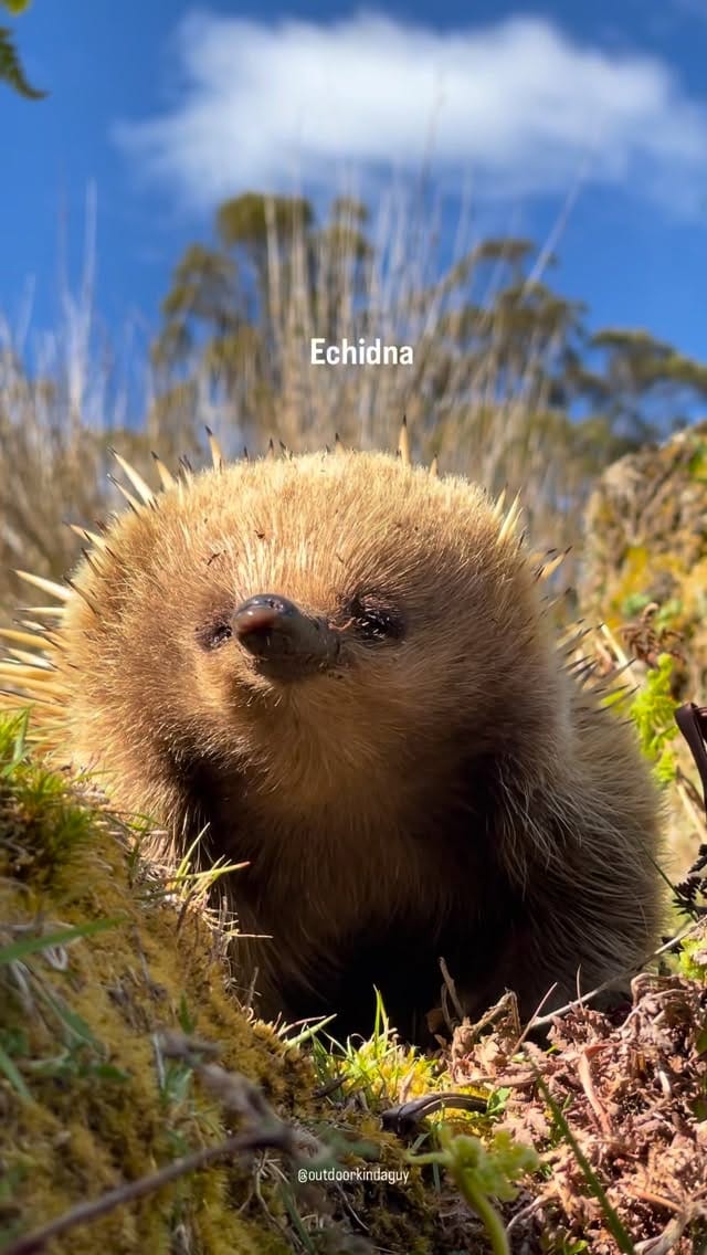 Post 7 by Jordy Wilson on Instagram (video)