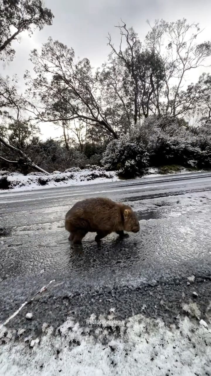 Post 4 by Jordy Wilson on Instagram (video)