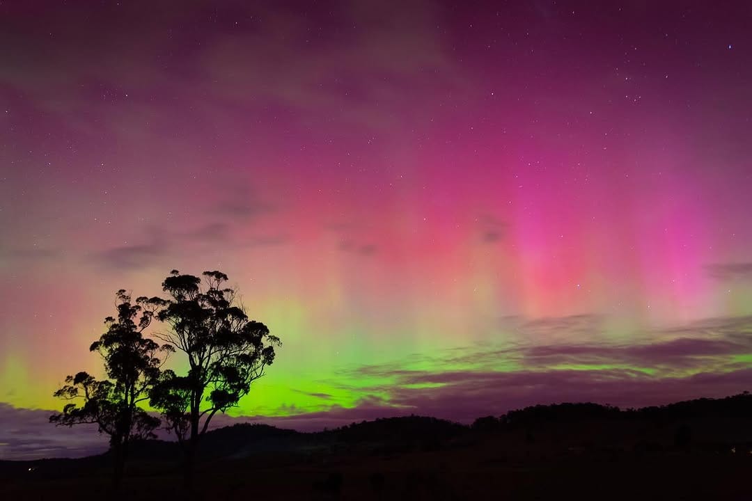 Post 7 by Paul Fleming, Tasmania 🏳️‍🌈 on Instagram (carousel)
