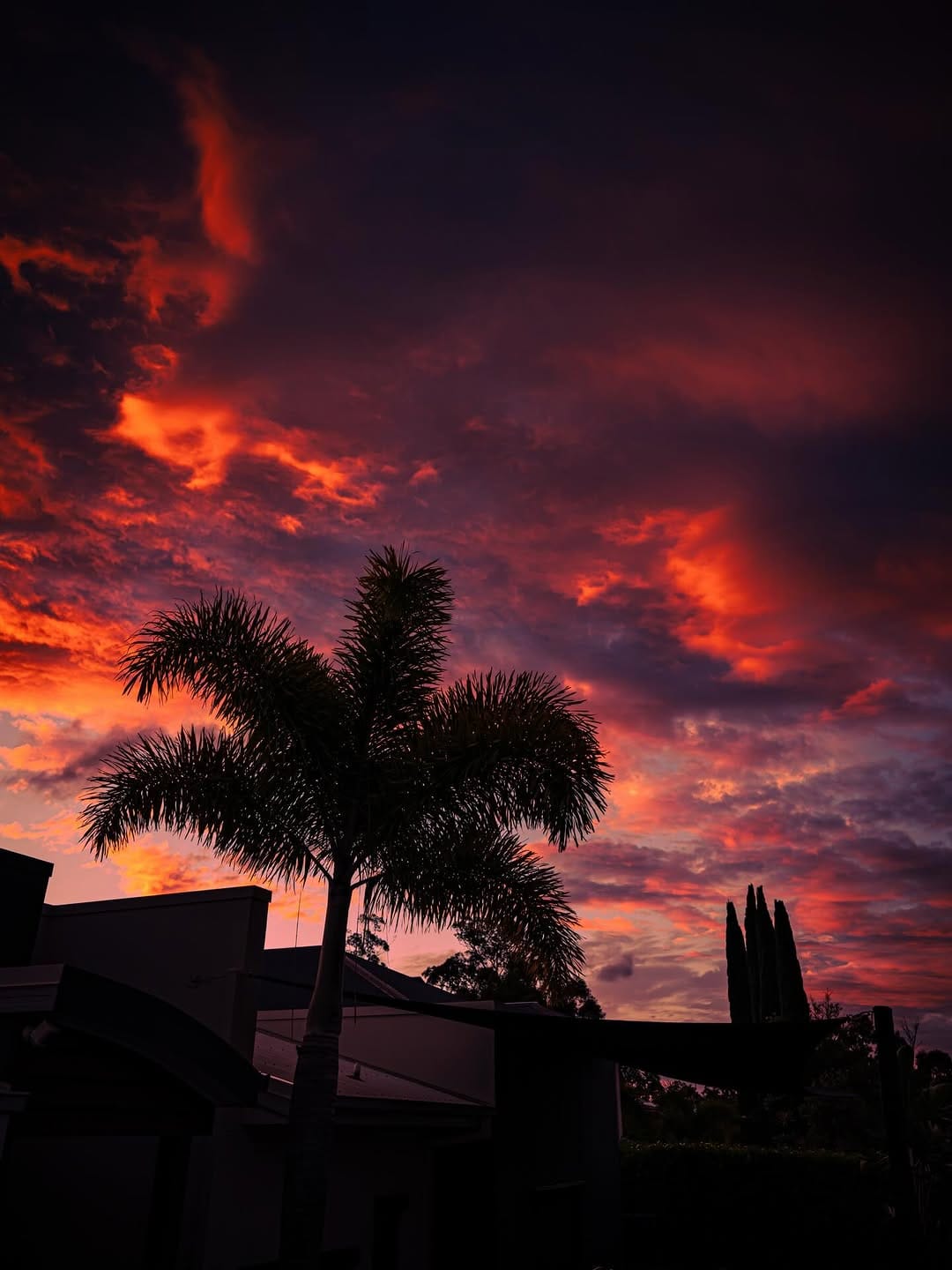 Post 8 by Ben Mulder on Instagram (image)
