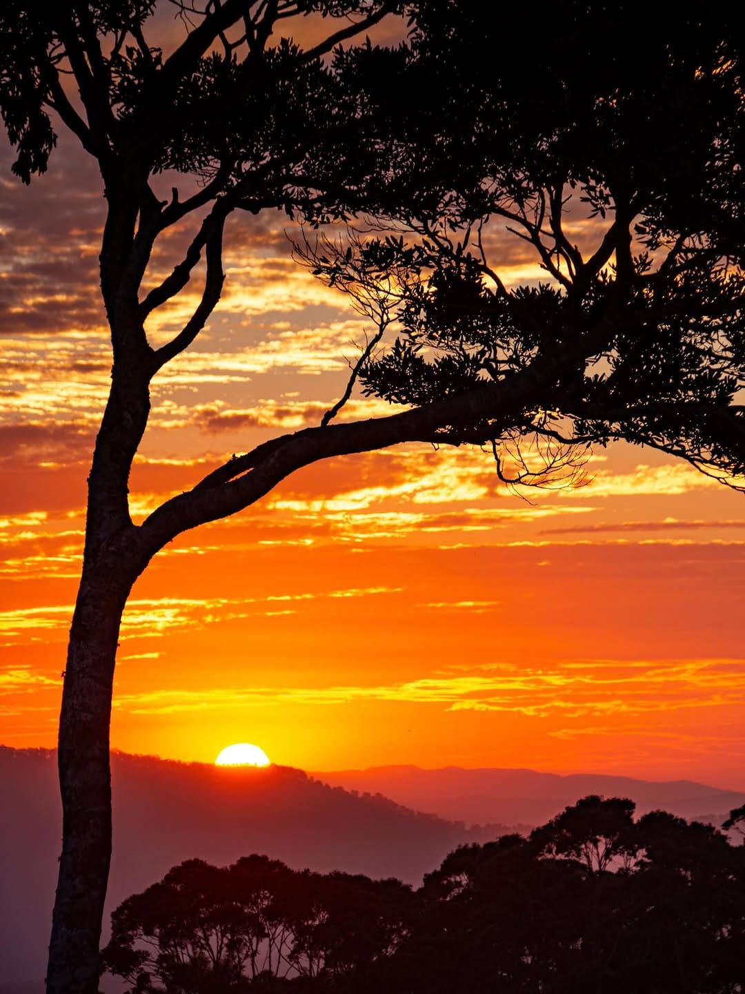 Post 5 by Ben Mulder on Instagram (image)