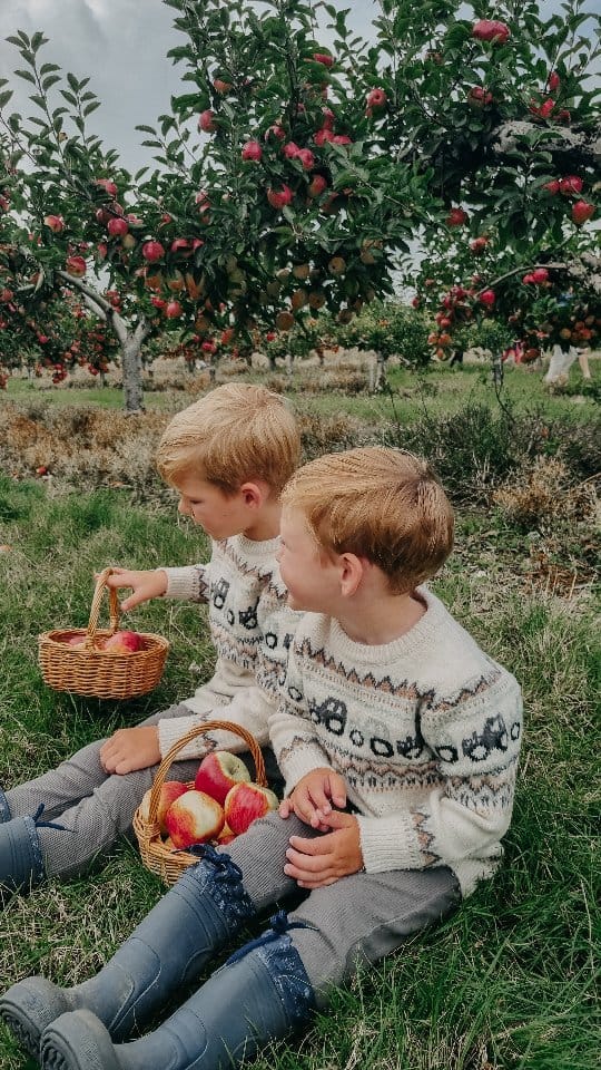 Post 8 by @familylivinglife on Instagram (video)