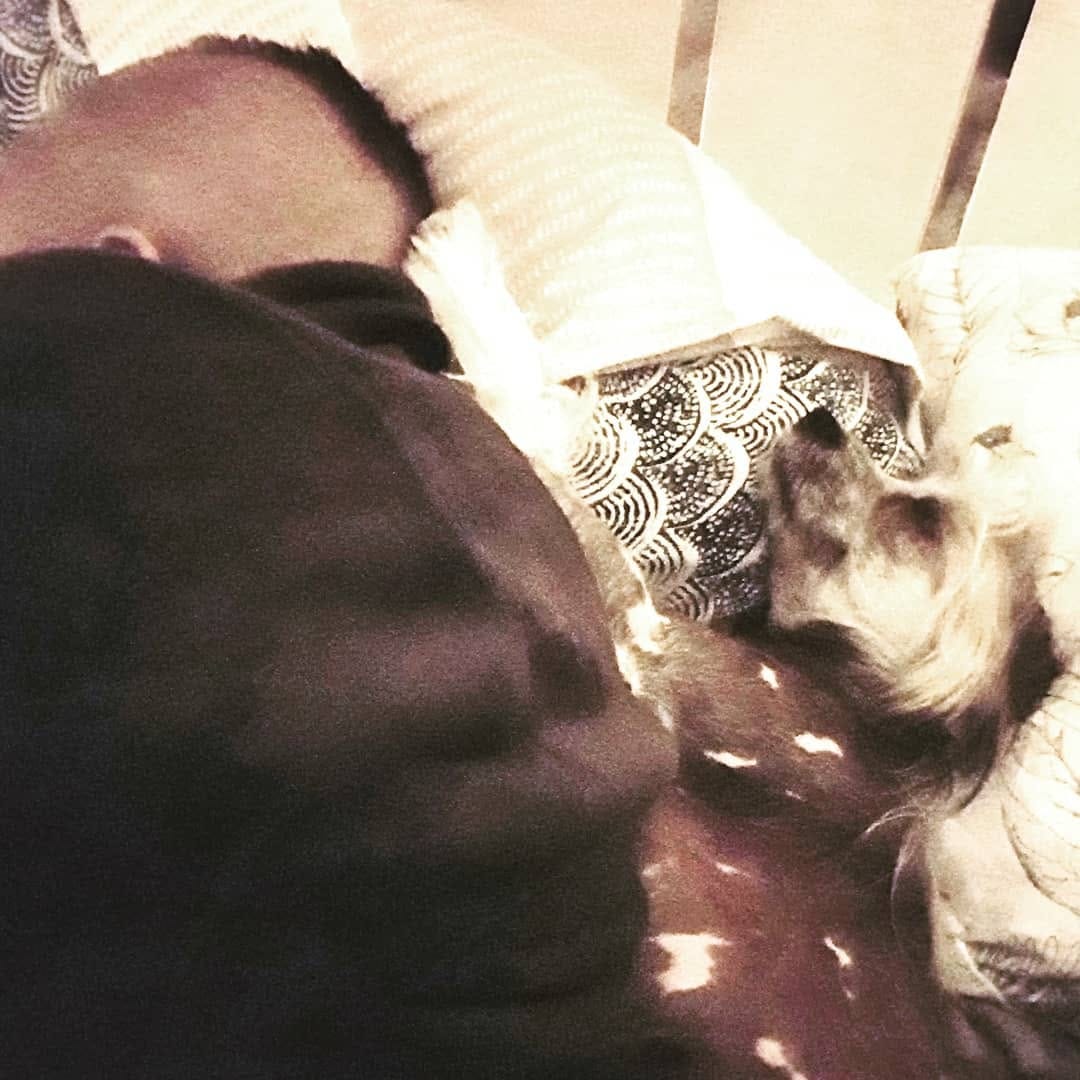 Post 3 by Tofu Ang on Instagram (image)