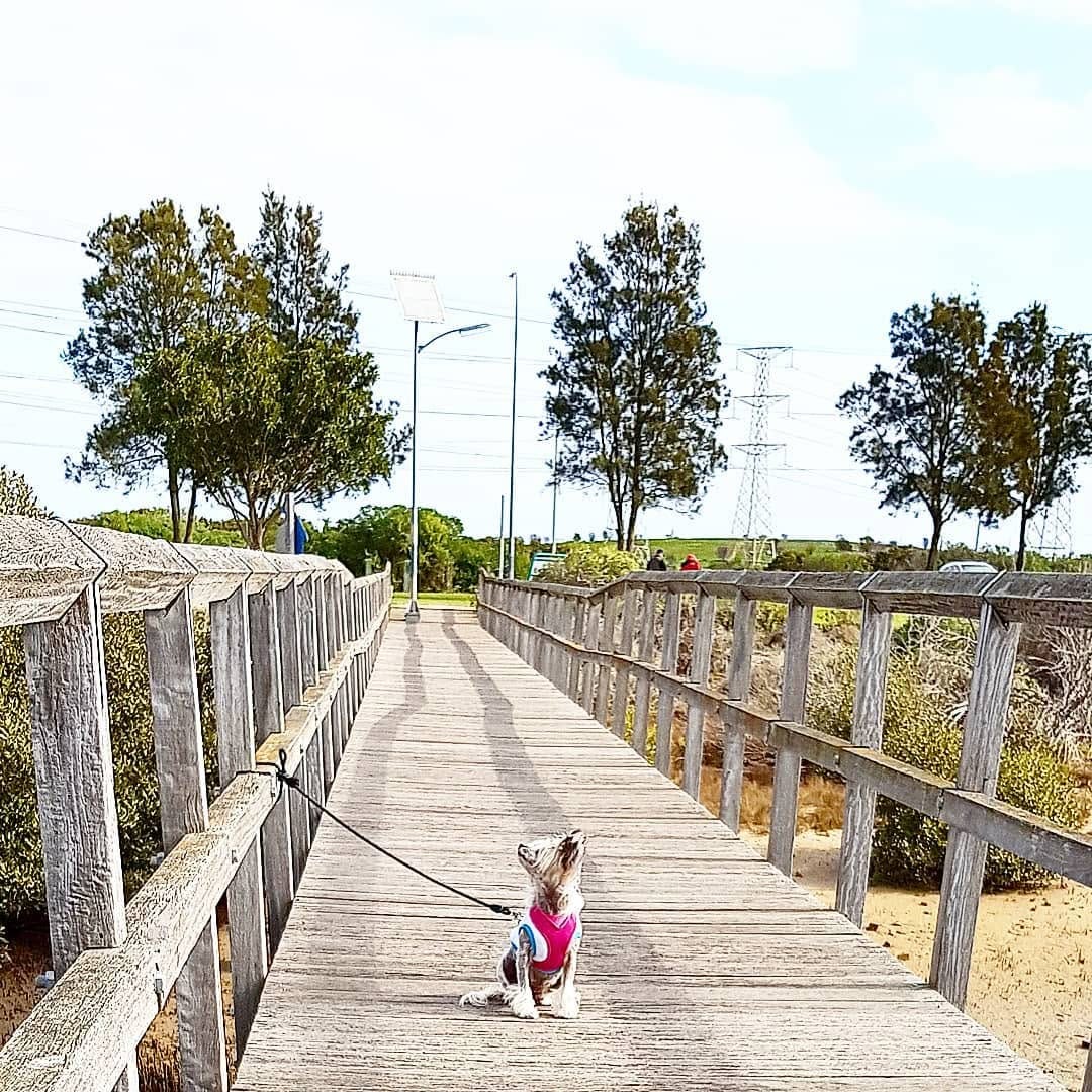 Post 9 by Tofu Ang on Instagram (image)