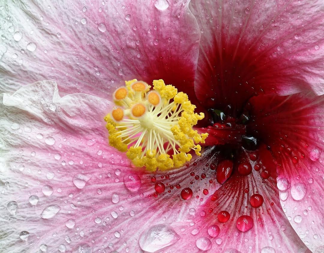 Post 6 by Richard Majlinder on Instagram (image)