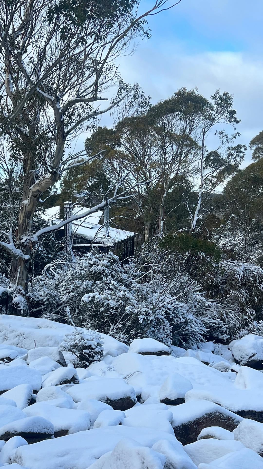 Post 9 by Off-grid cabin • Great Lake Tasmania | Camp Nowhere on Instagram (video)