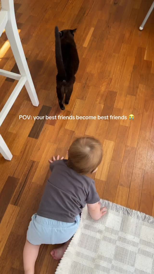 Post 3 by Brooke Williams on Instagram (video)