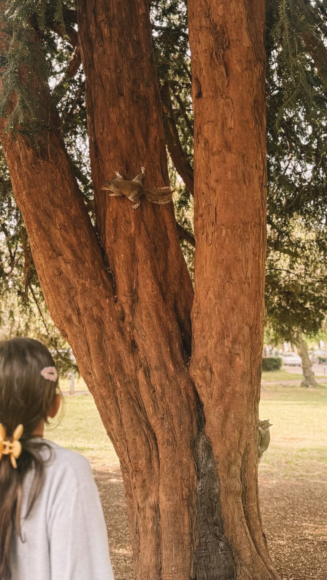 Post 3 by Motherhood & Lifestyle on Instagram (video)