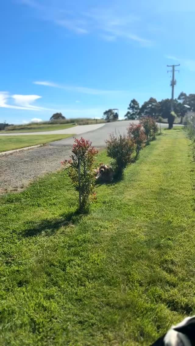 Post 4 by Sally Medwin on Instagram (video)