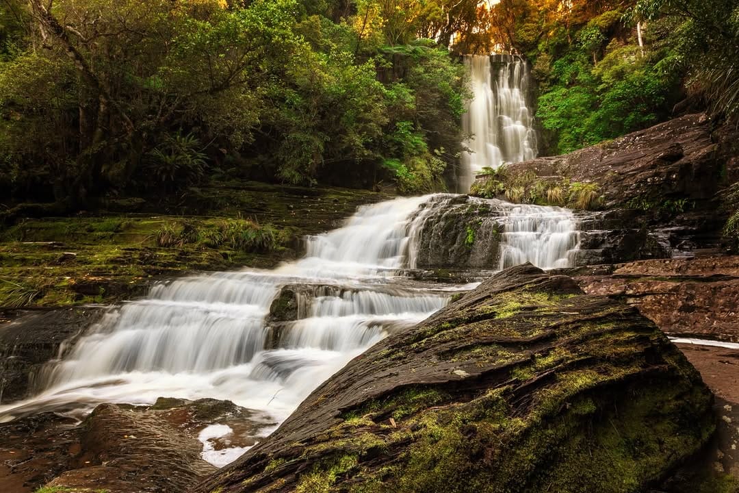 Post 3 by Shane Taylor on Instagram (image)