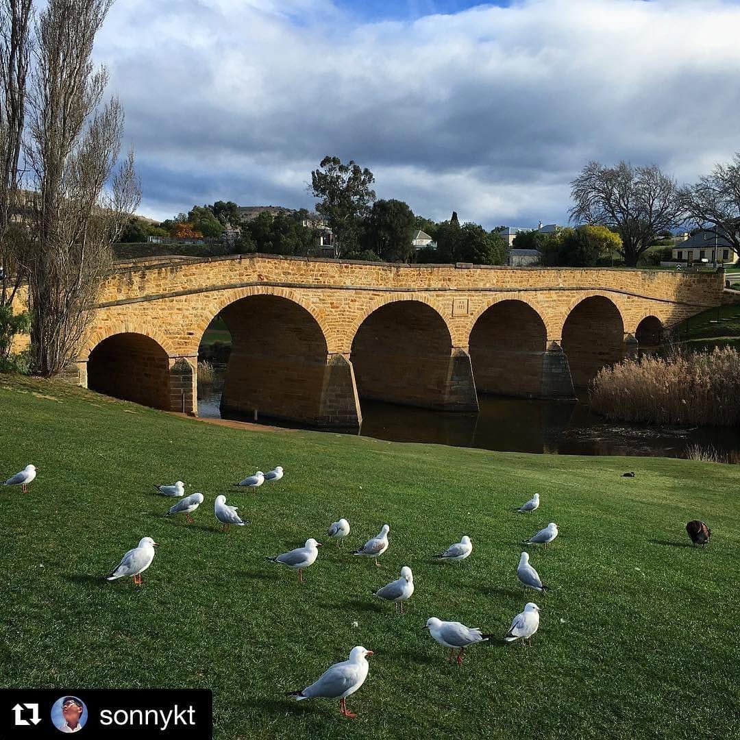 Post 4 by My Town Magazine TAS on Instagram (image)