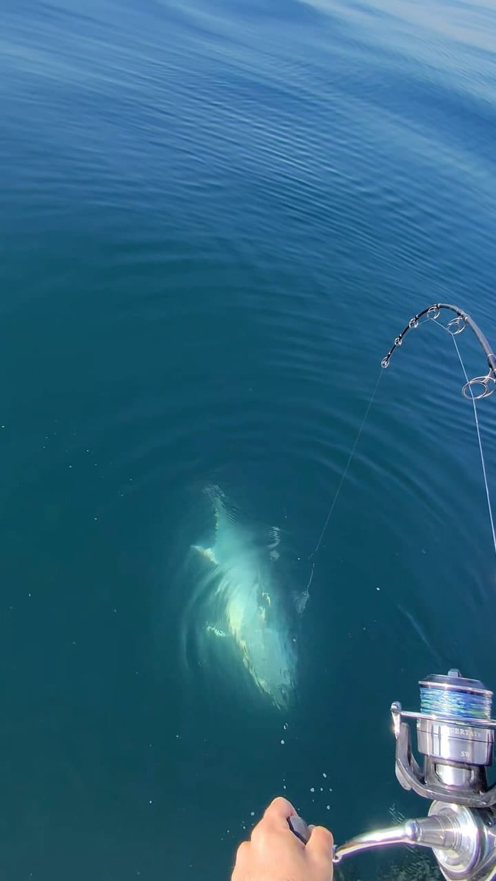 Post 9 by Reel Z Fishing on Instagram (video)