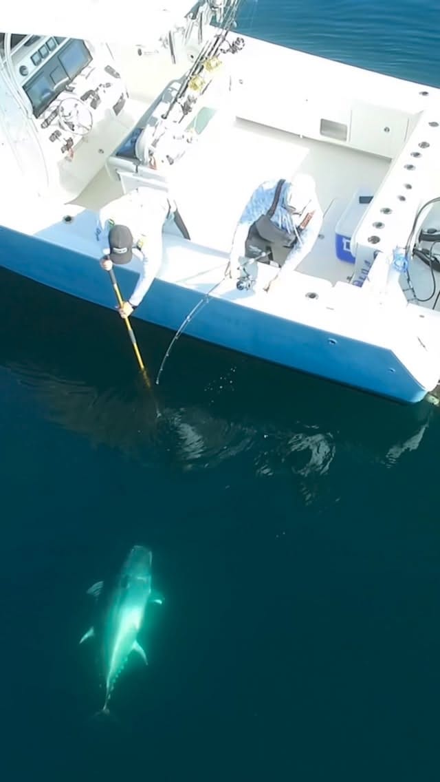 Post 4 by Reel Z Fishing on Instagram (video)