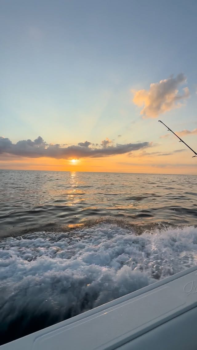 Post 7 by Reel Z Fishing on Instagram (video)