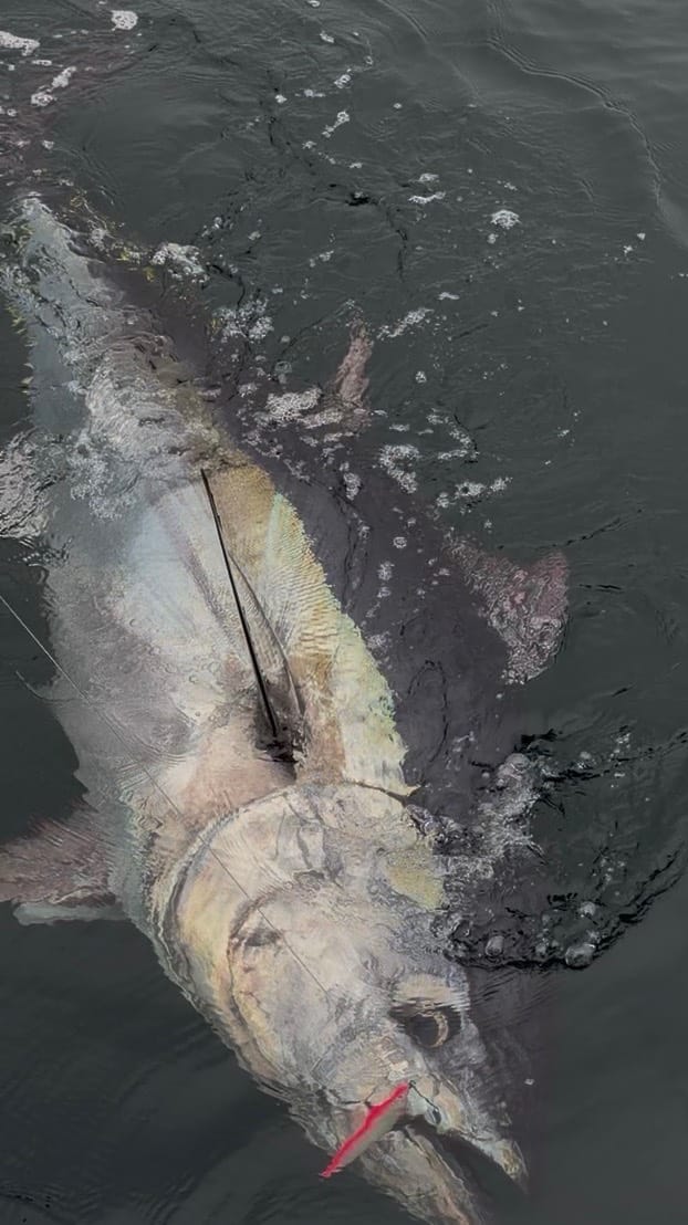 Post 6 by Reel Z Fishing on Instagram (video)
