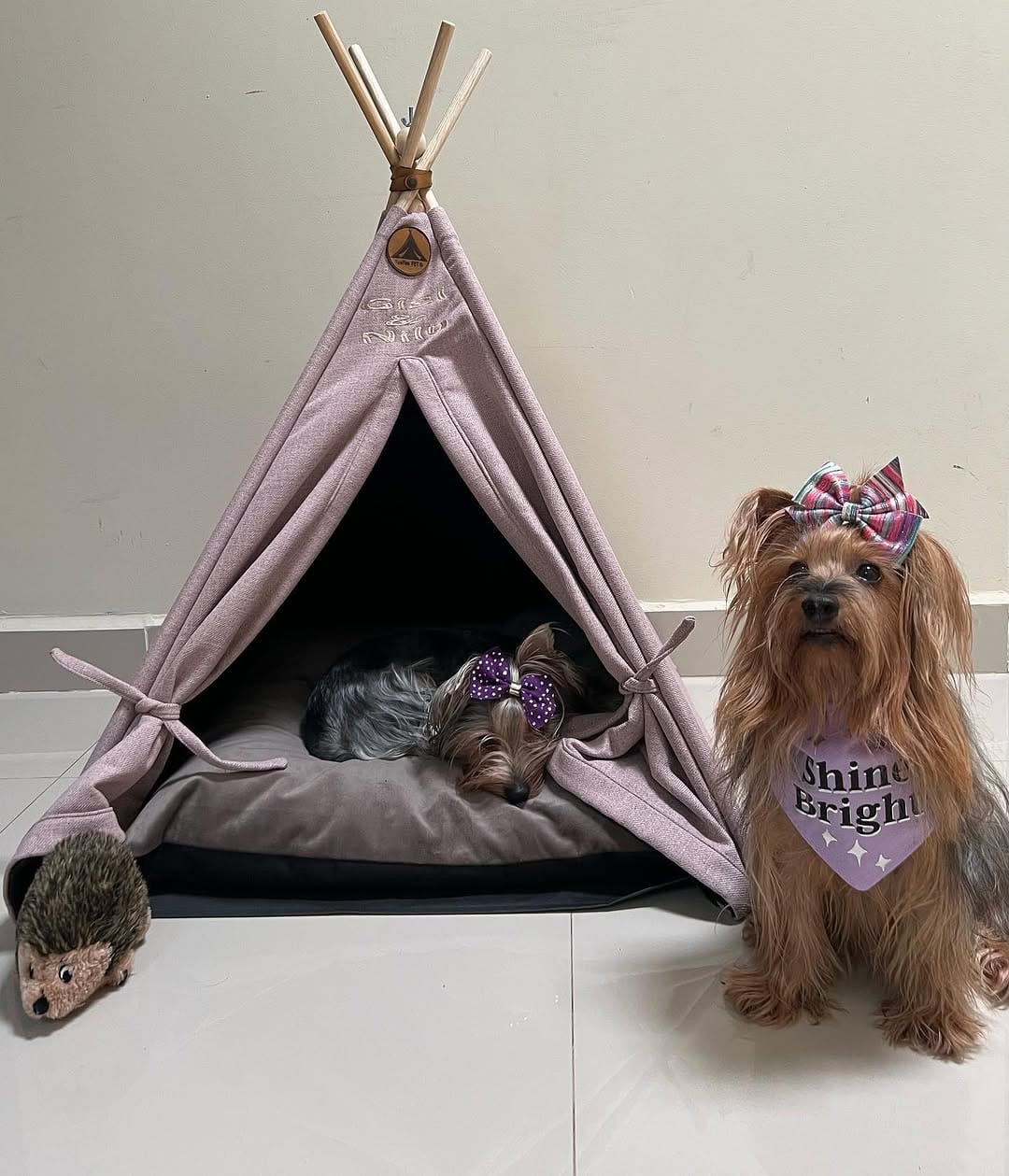 Post 5 by Chelsea & Baileys on Instagram (carousel)