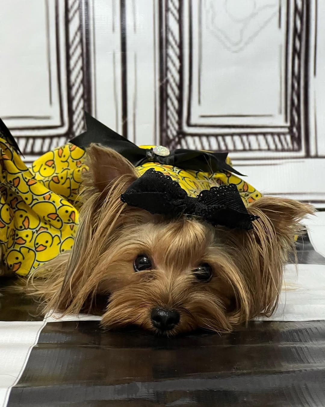 Post 2 by Chelsea & Baileys on Instagram (carousel)