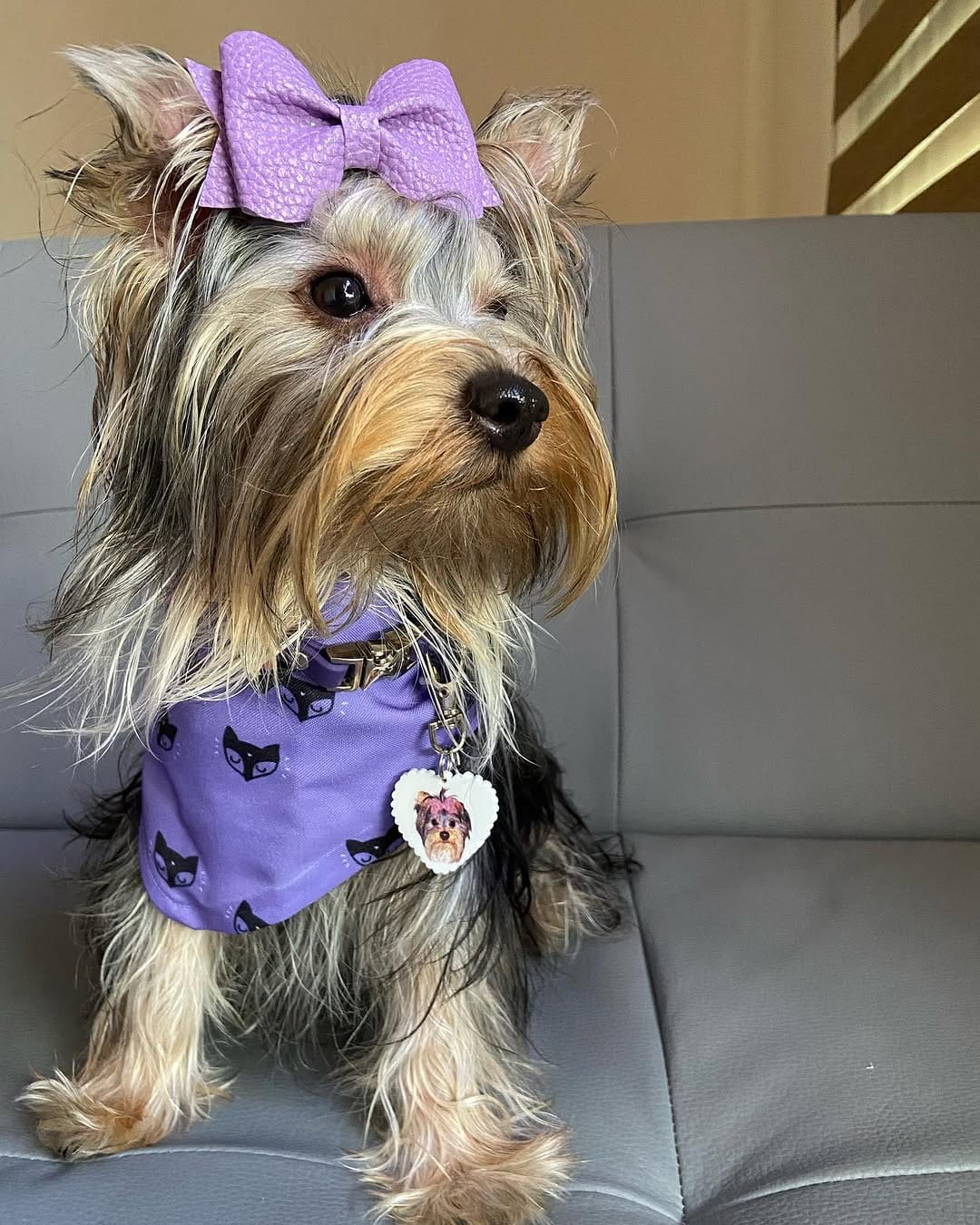 Post 10 by Chelsea & Baileys on Instagram (carousel)