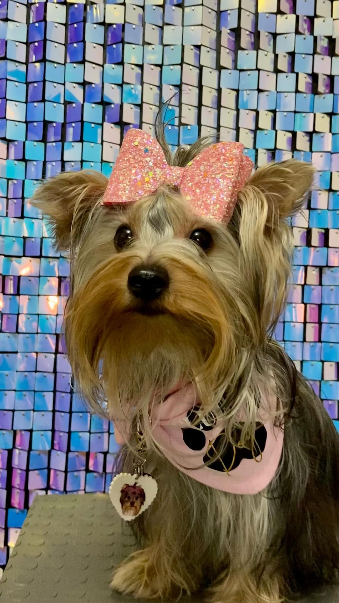 Post 9 by Chelsea & Baileys on Instagram (video)