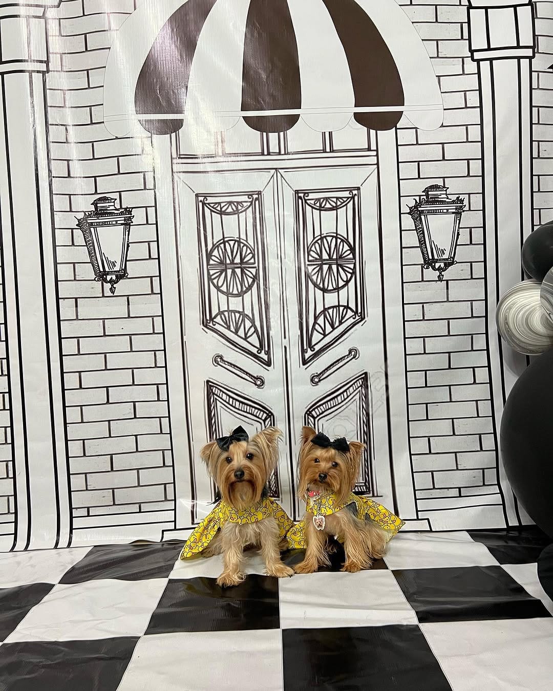 Post 3 by Chelsea & Baileys on Instagram (carousel)