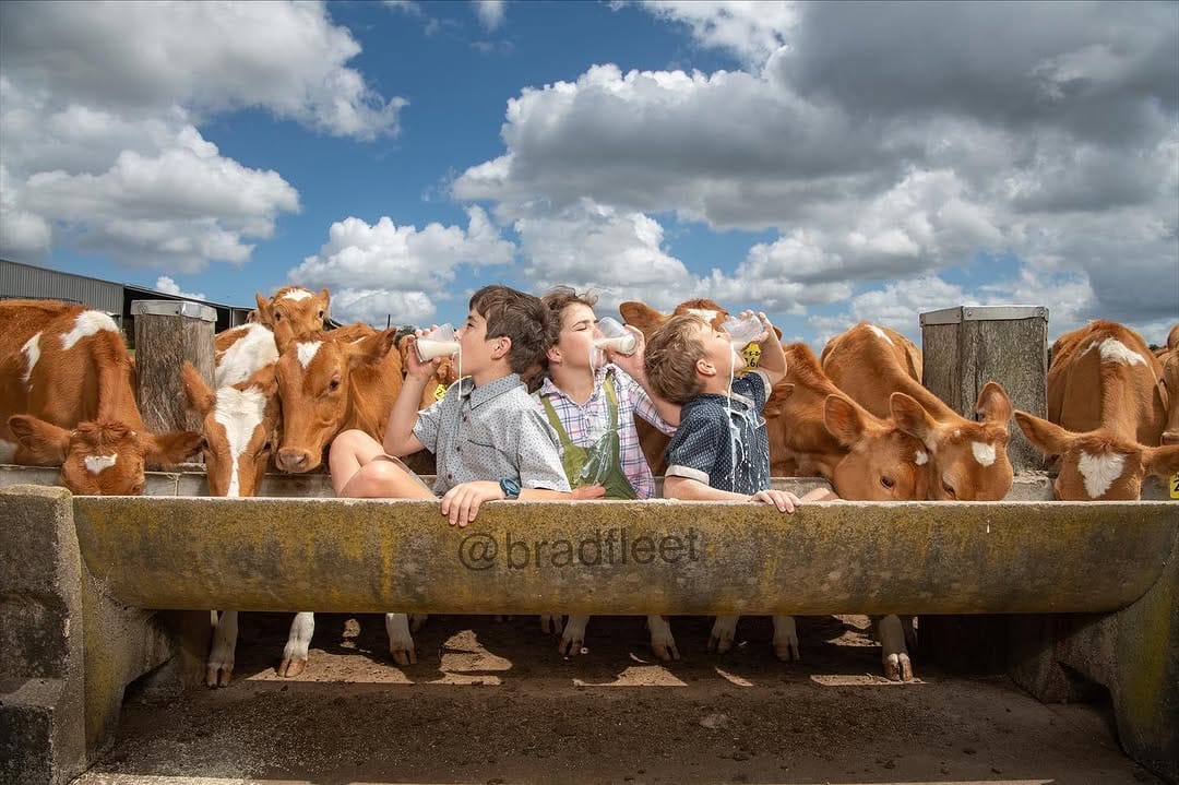 Post 4 by Brad fleet on Instagram (image)