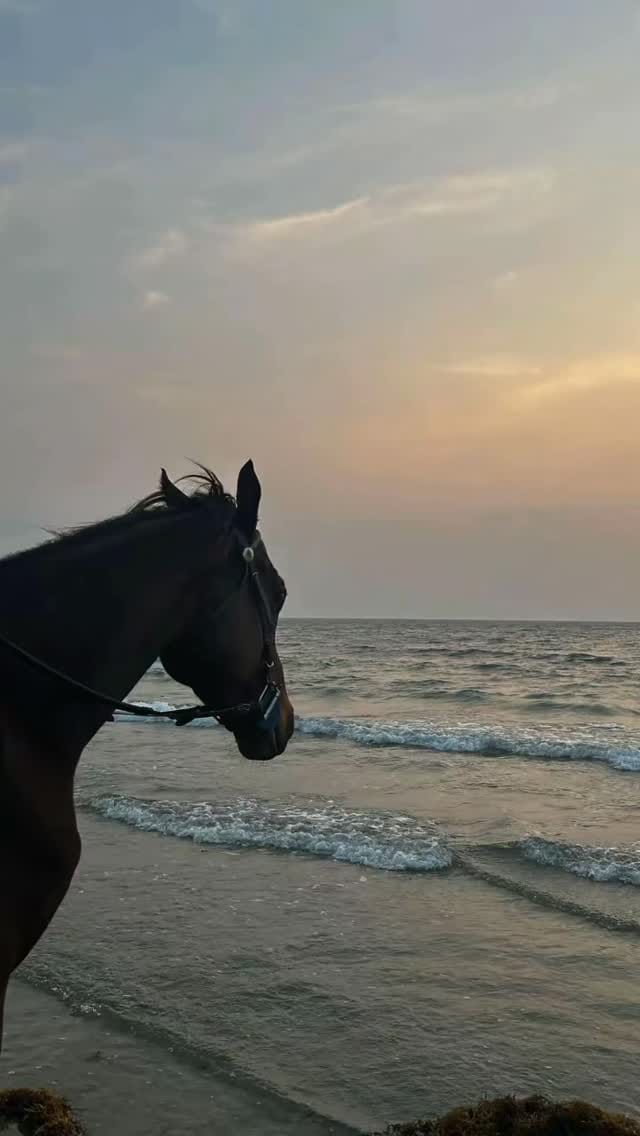 Post 1 by R A F A E L ' on Instagram (video)