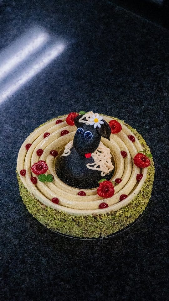 Post 3 by Boutonnet Julien on Instagram (video)