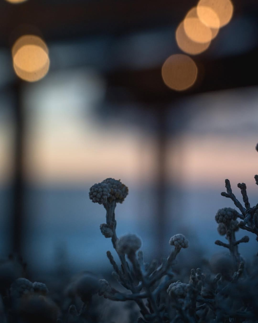 Post 2 by Damien de Gélis on Instagram (image)