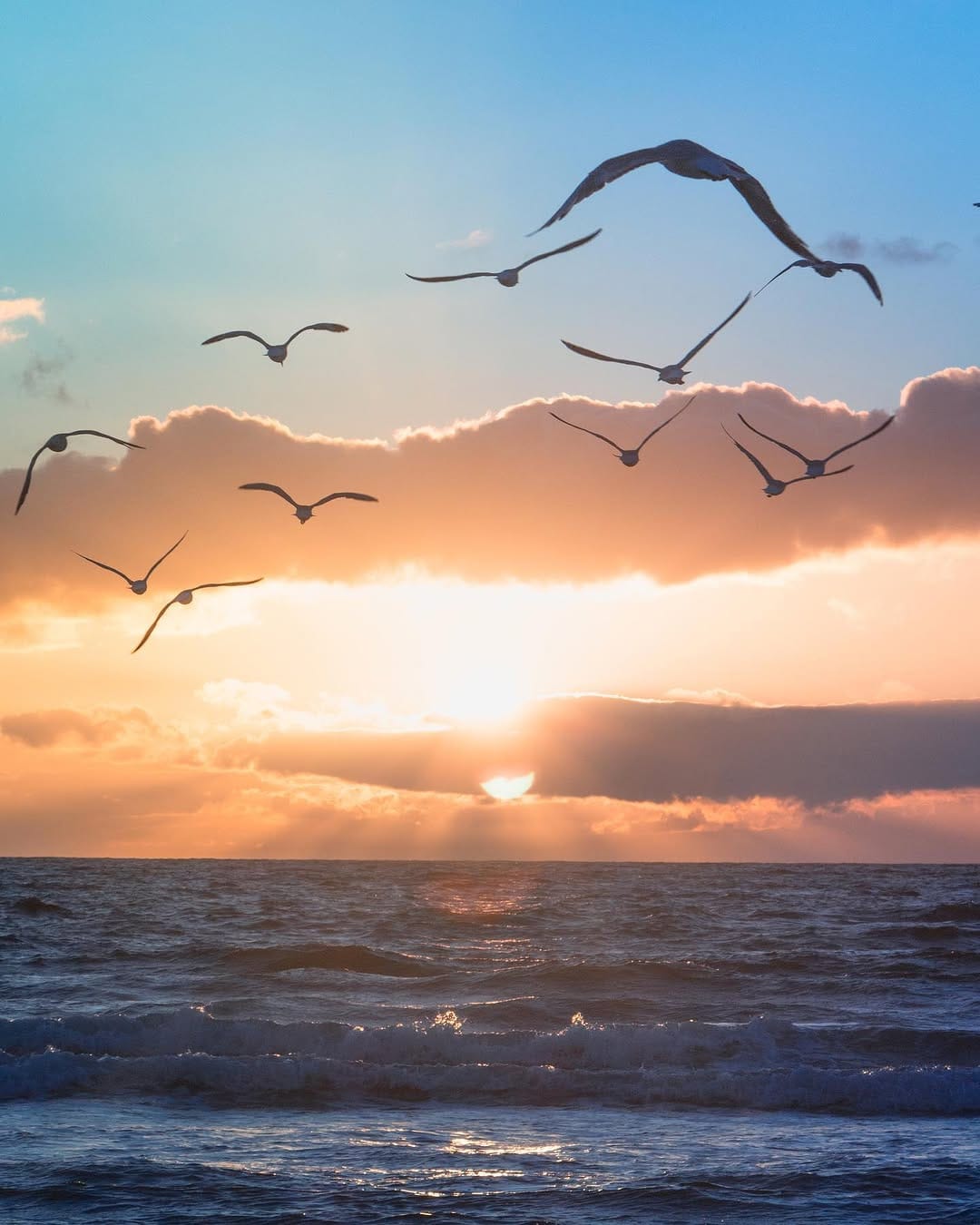 Post 3 by Damien de Gélis on Instagram (image)