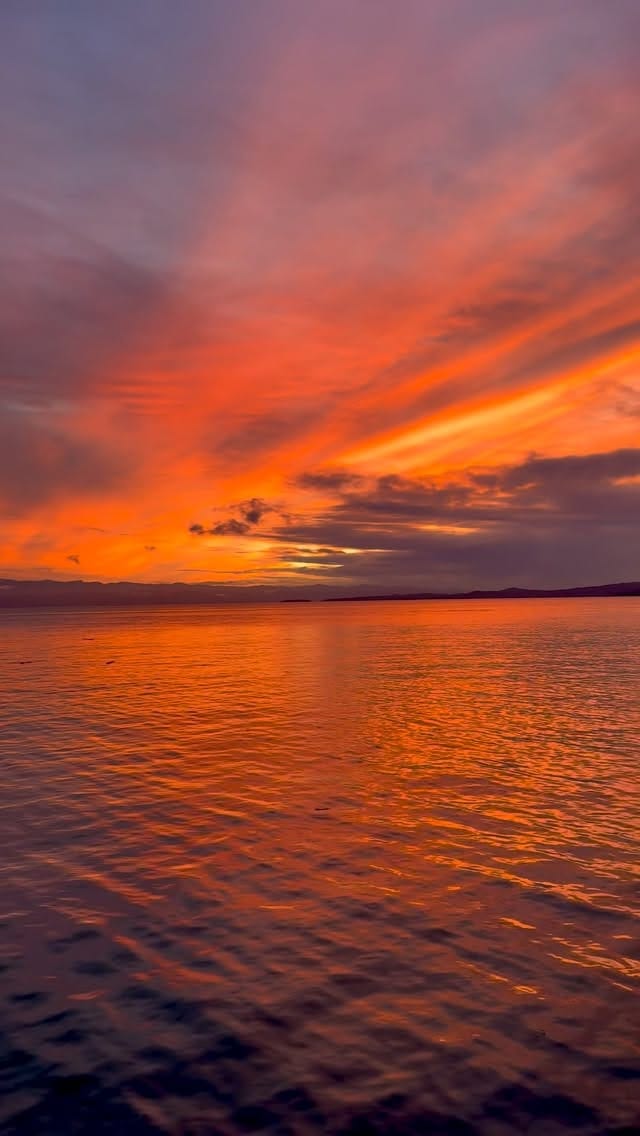 Post 4 by Owen Russell on Instagram (video)