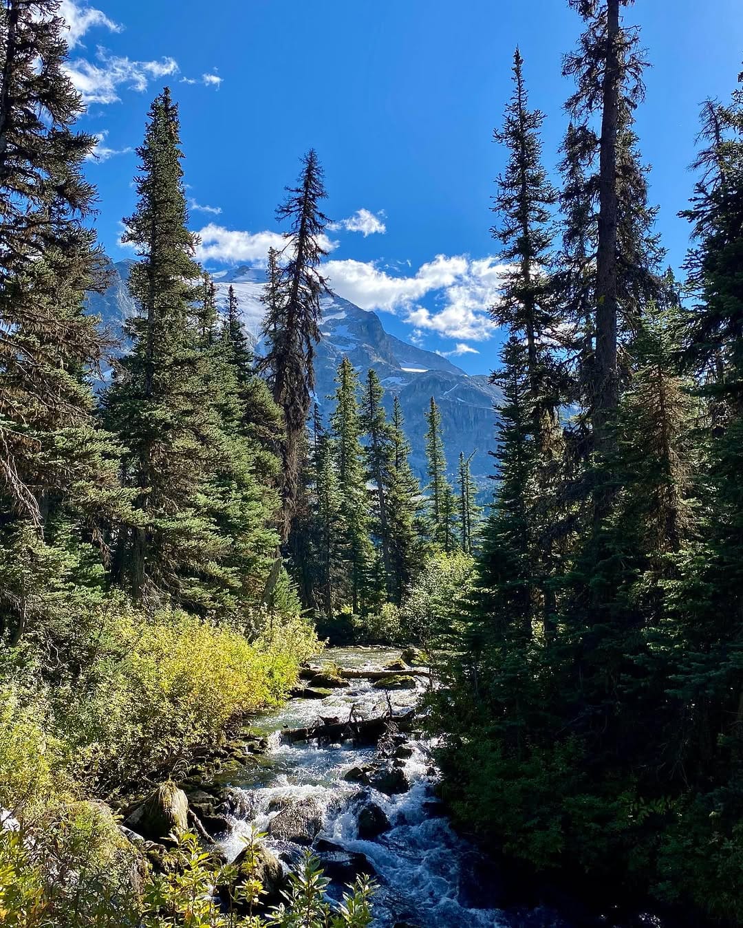 Post 9 by Owen Russell on Instagram (image)