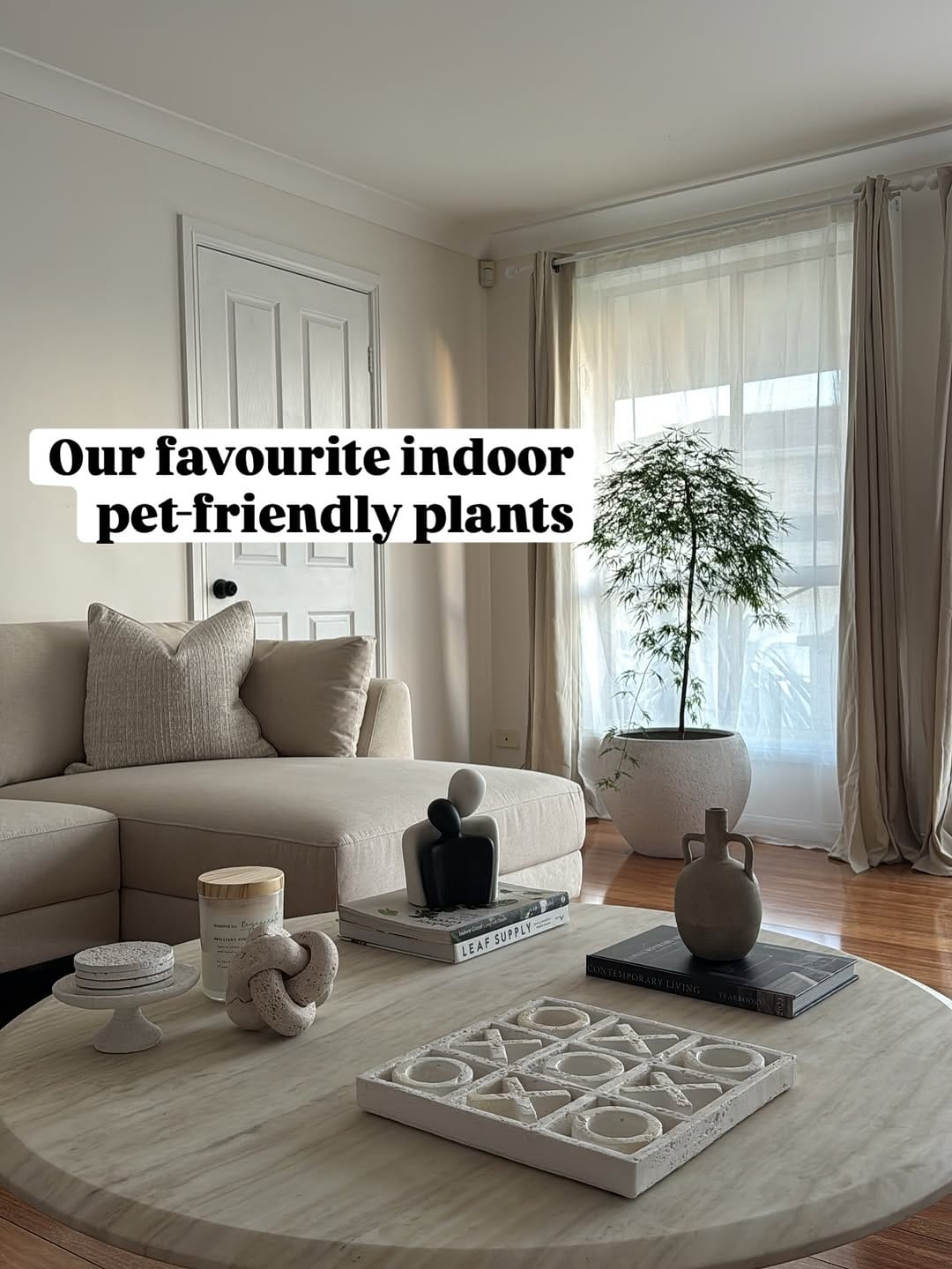 Post 4 by Leafy Paw | Home of Pet-friendly plants on Instagram (carousel)
