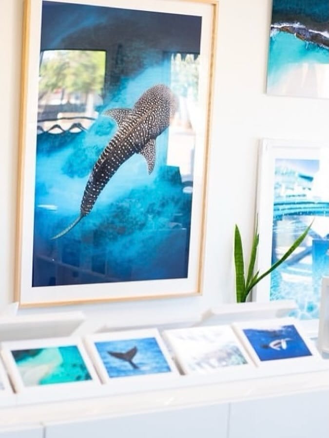 Post 4 by Jess Hadden Gallery on Instagram (image)