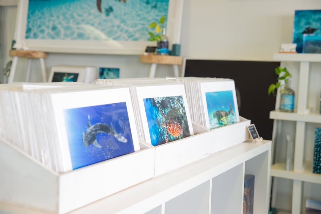 Post 5 by Jess Hadden Gallery on Instagram (image)