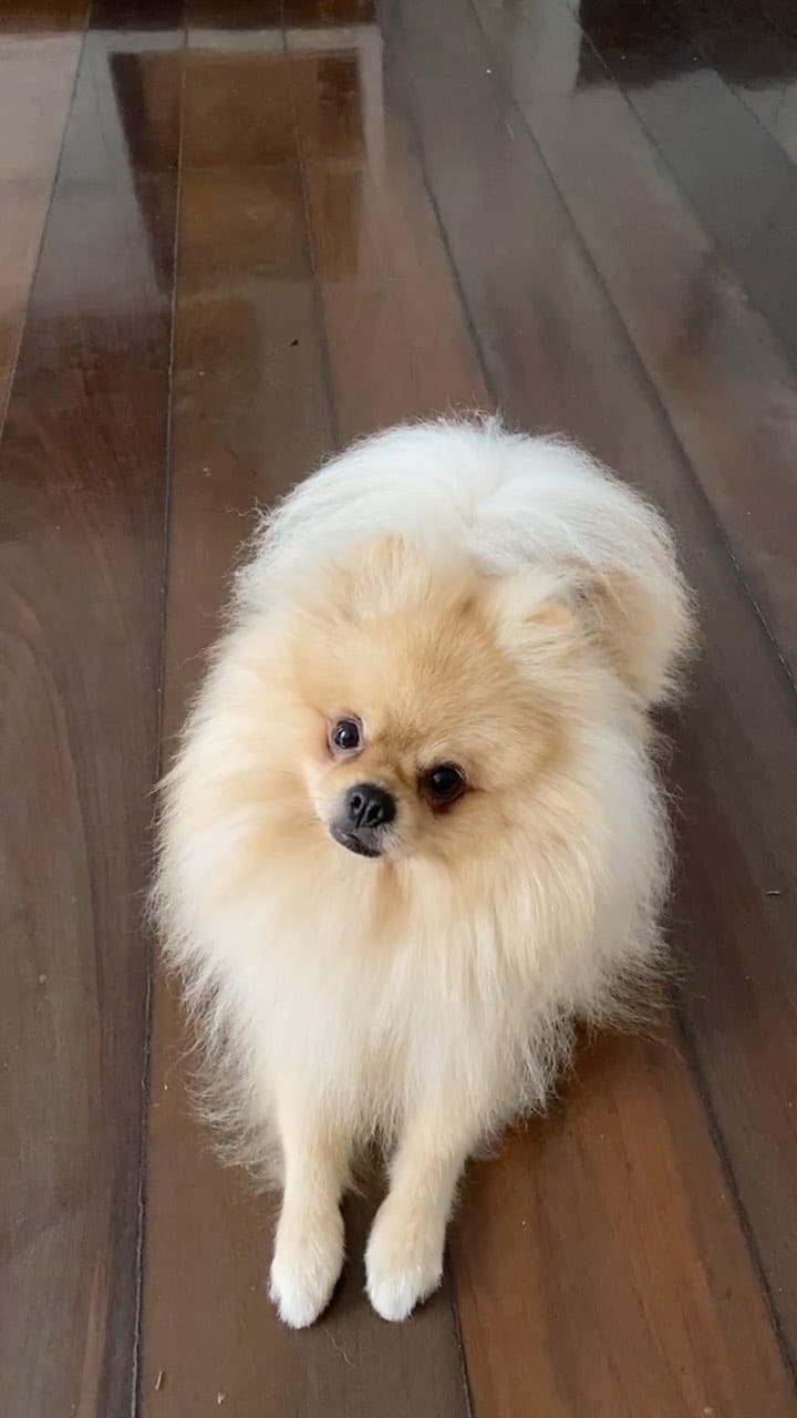 Post 7 by Thor on Instagram (video)