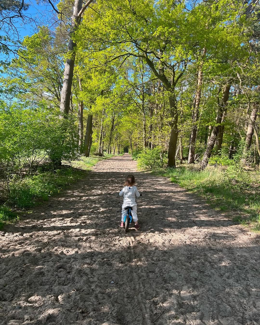 Post 7 by Reena Sharma RD MSc BSc (Hons) | Registered Dietitian on Instagram (carousel)