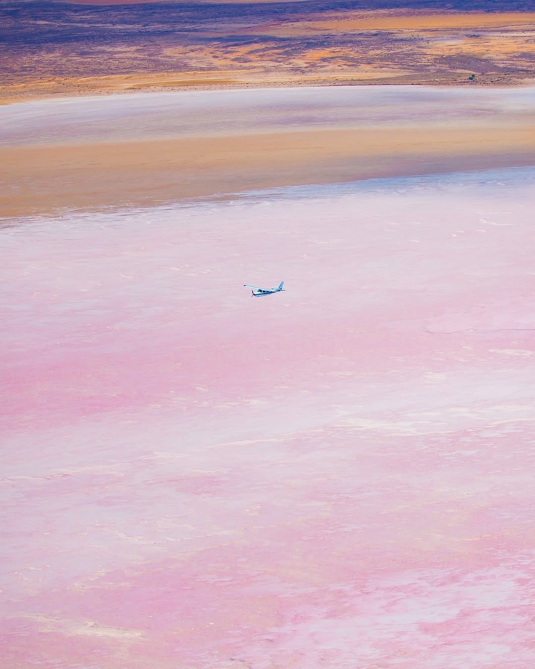 Post 4 by Lachlan Swan on Instagram (carousel)