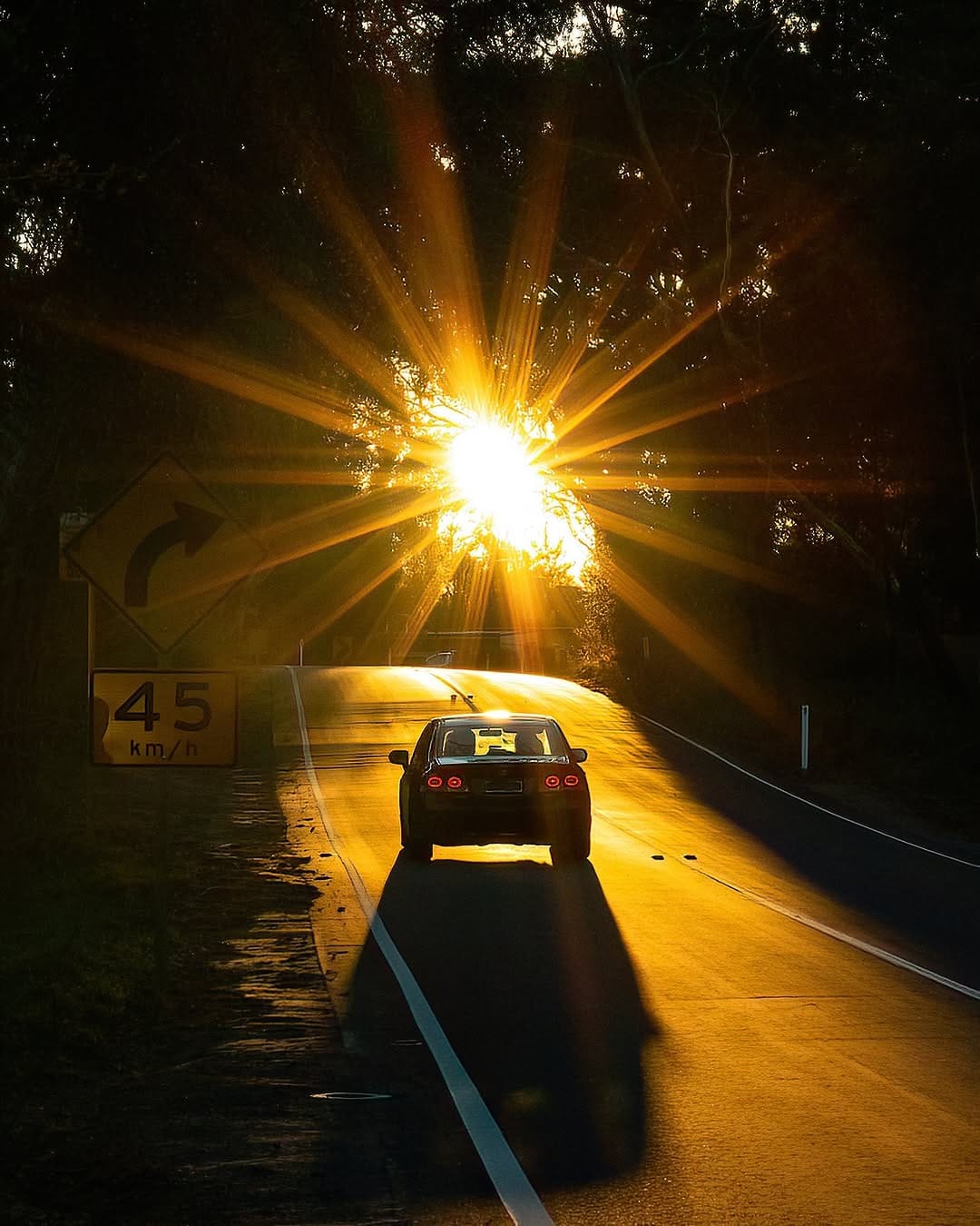 Post 9 by Lachlan Swan on Instagram (image)