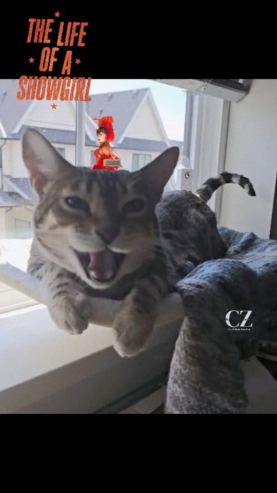 Post 5 by Cleo Zara on Instagram (video)