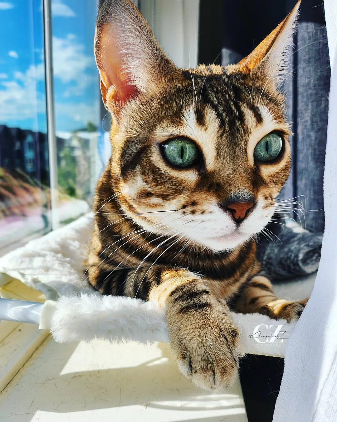 Post 9 by Cleo Zara on Instagram (carousel)