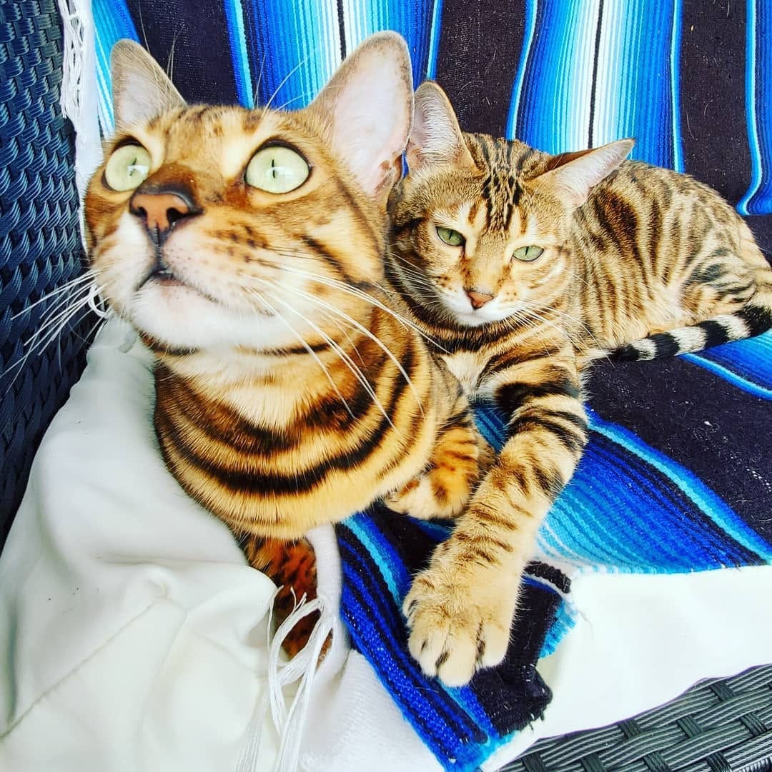 Post 10 by Cleo Zara on Instagram (carousel)