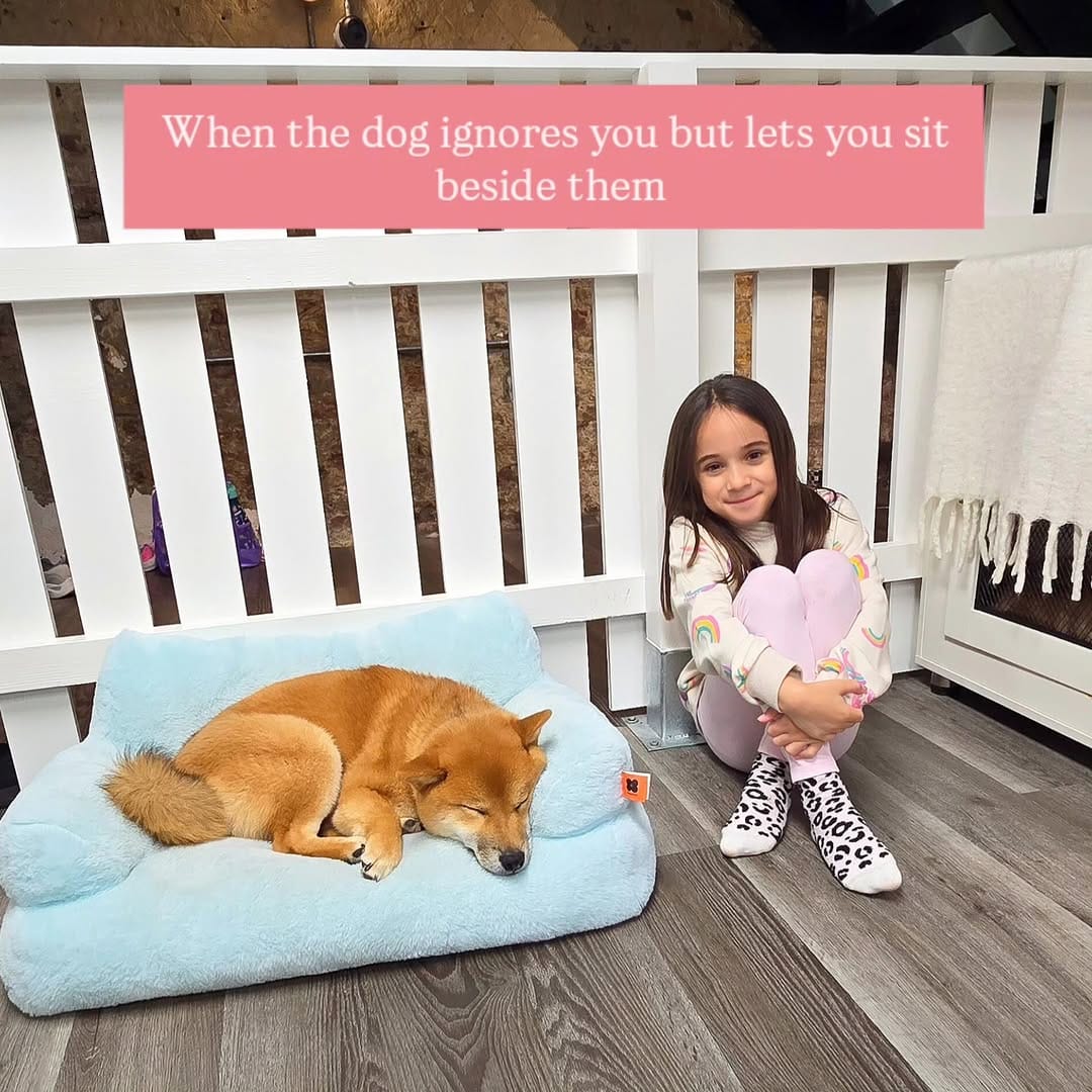 Post 2 by Sabina | Luxury Travel | London Days Out | Hotel & Foodie Finds on Instagram (carousel)