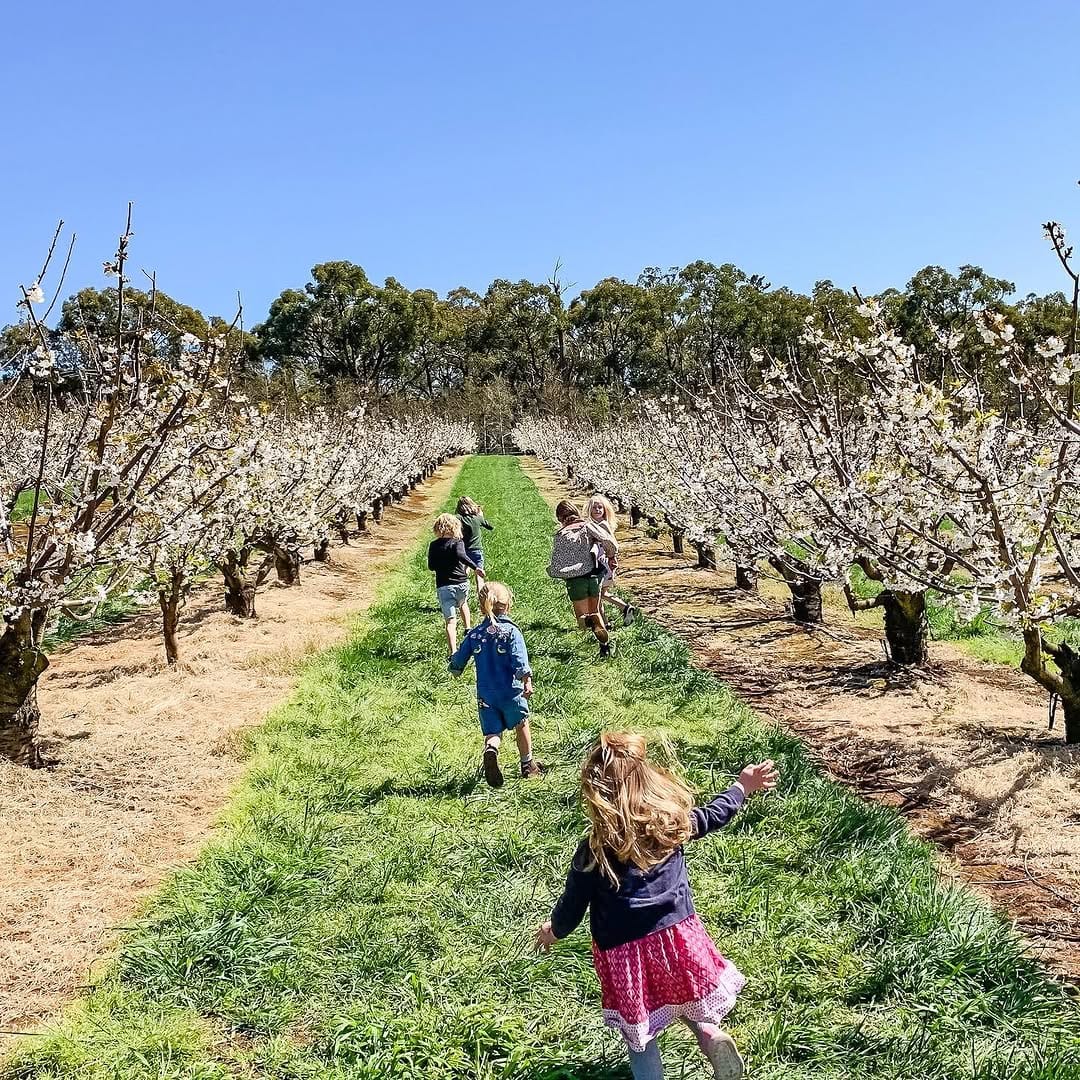 Post 3 by Family Travel Around Australia on Instagram (image)