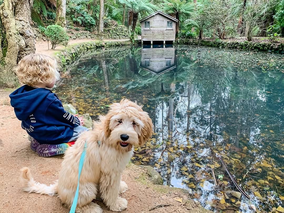 Post 4 by Family Travel Around Australia on Instagram (image)