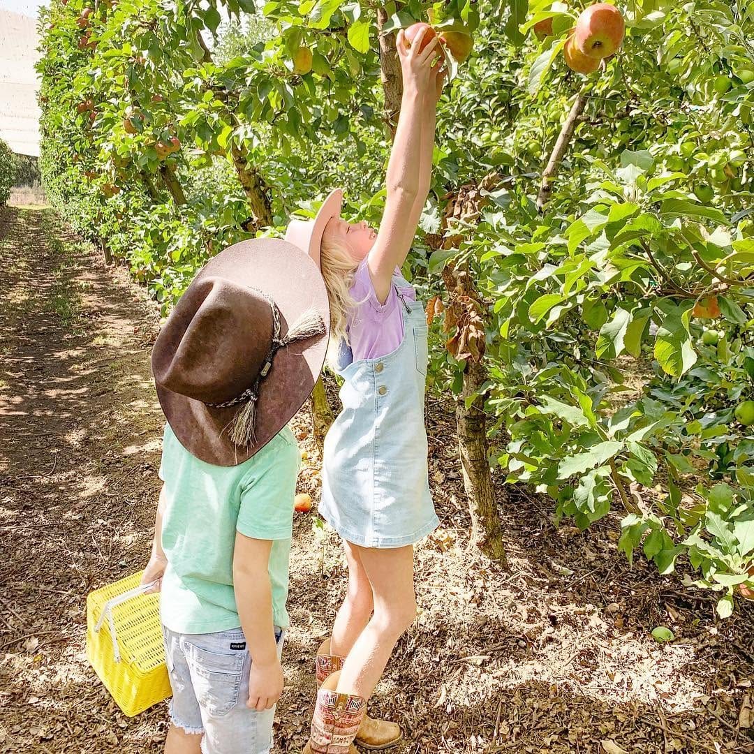 Post 10 by Family Travel Around Australia on Instagram (carousel)